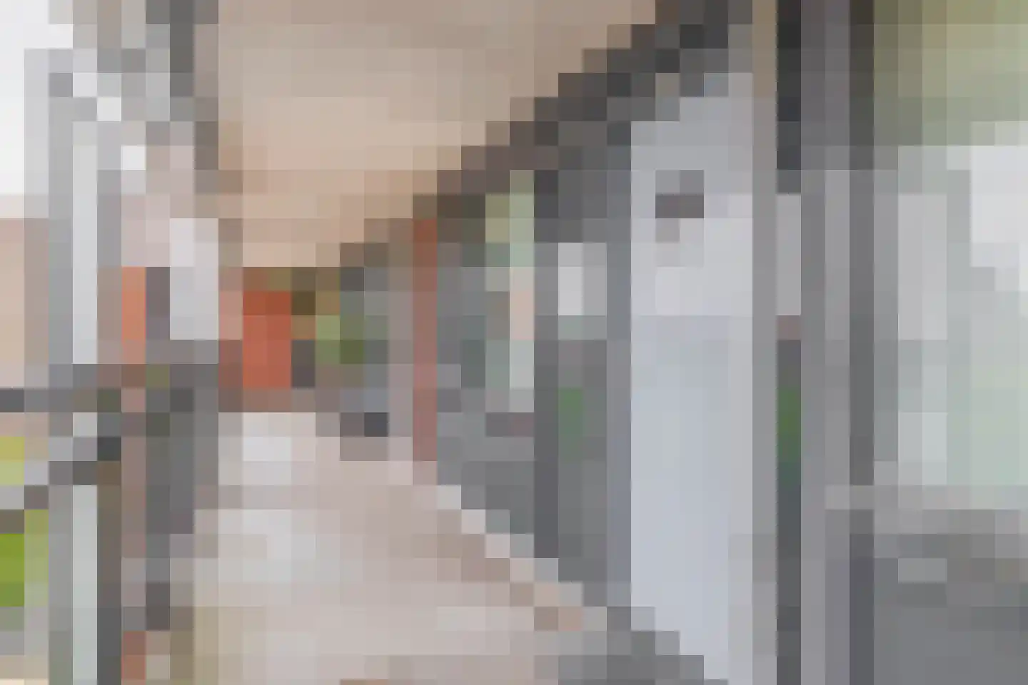 Linker Rottekade 128 F Rotterdam thumbnail 8