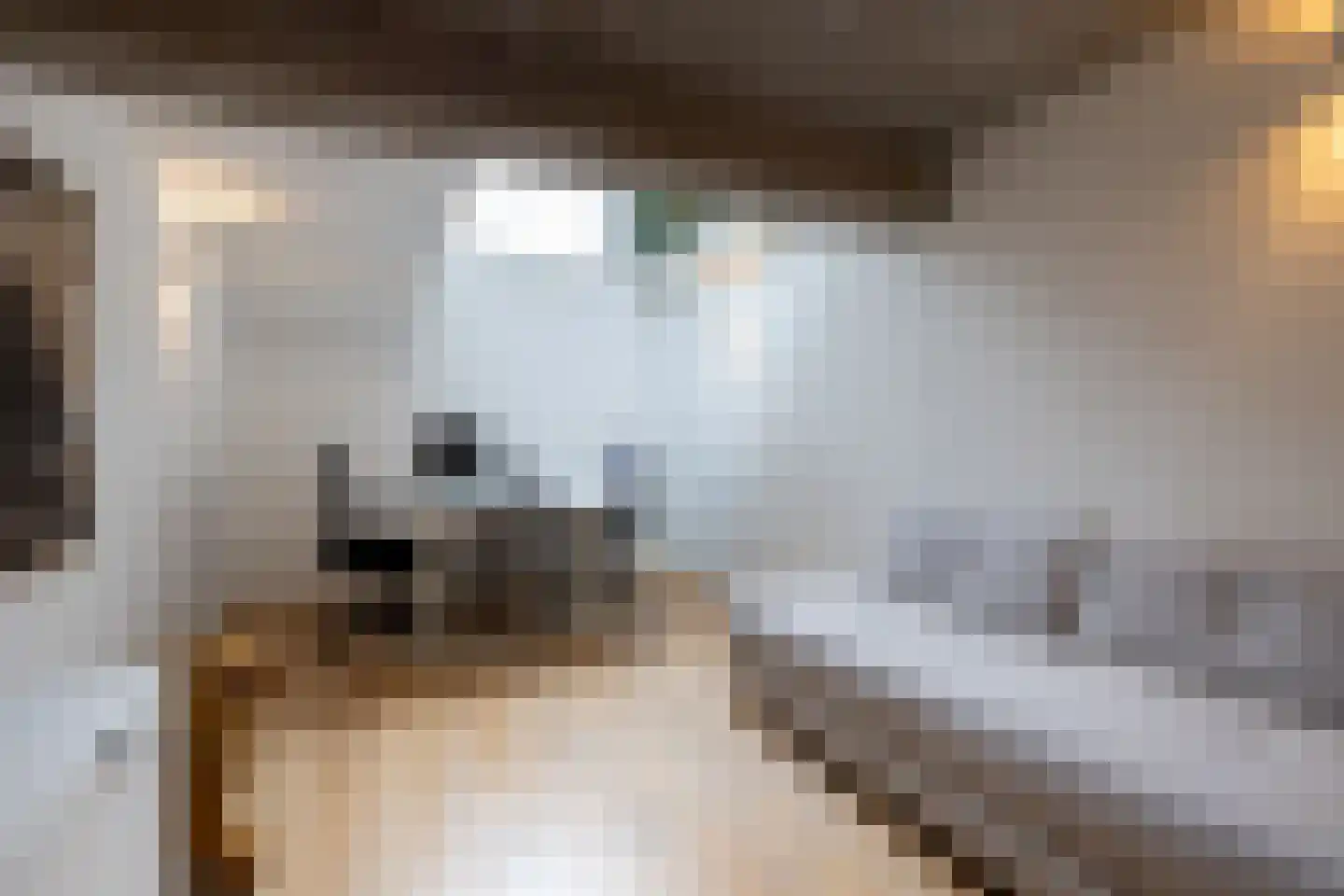 Linker Rottekadehof 32 A Rotterdam thumbnail 21