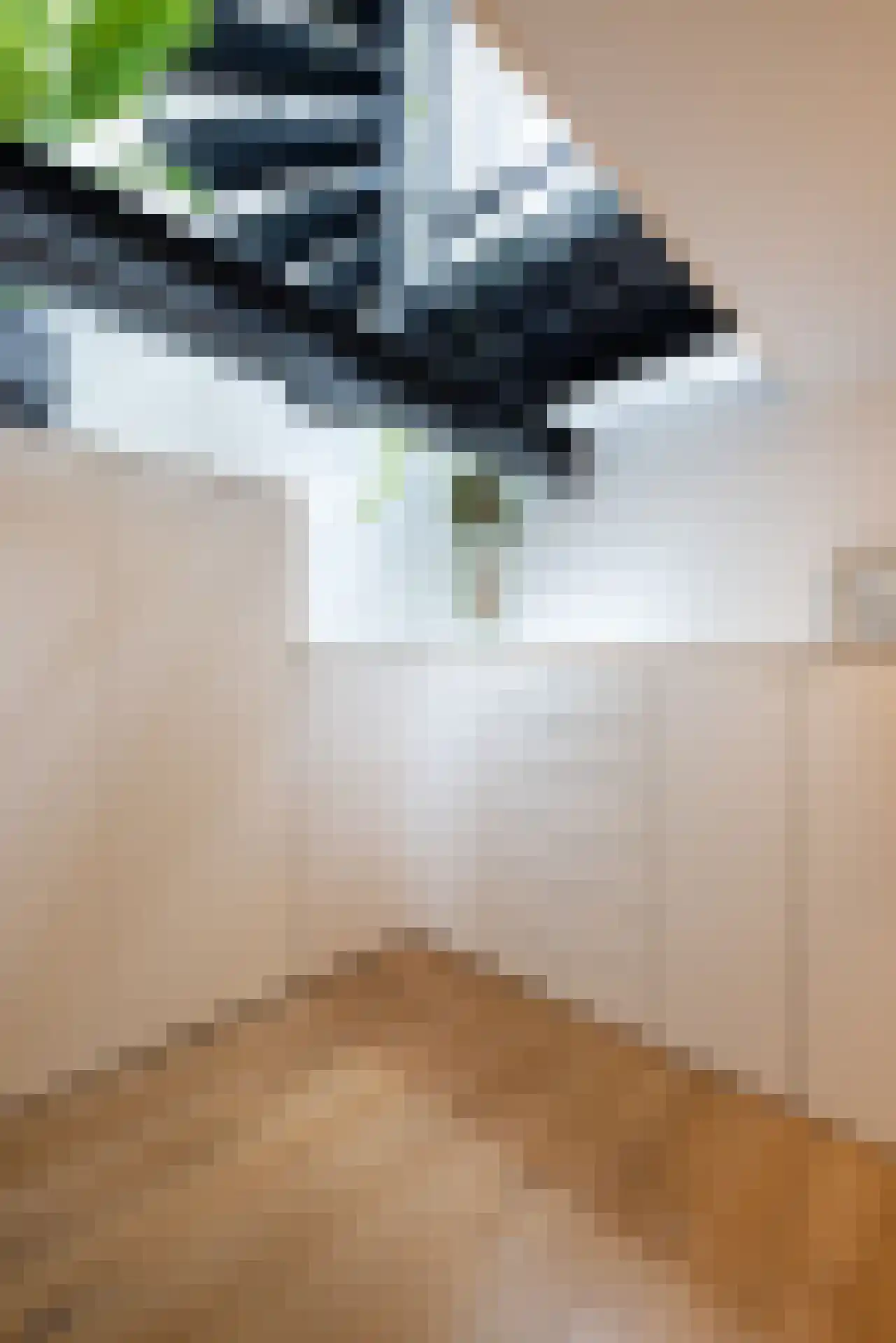 Linker Rottekadehof 32 A Rotterdam thumbnail 25