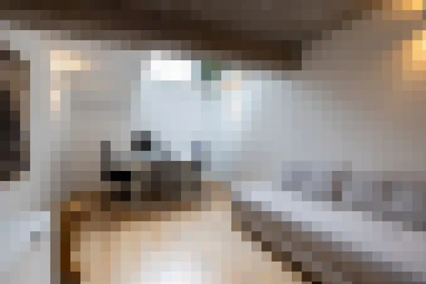 Linker Rottekadehof 32 A Rotterdam thumbnail 26