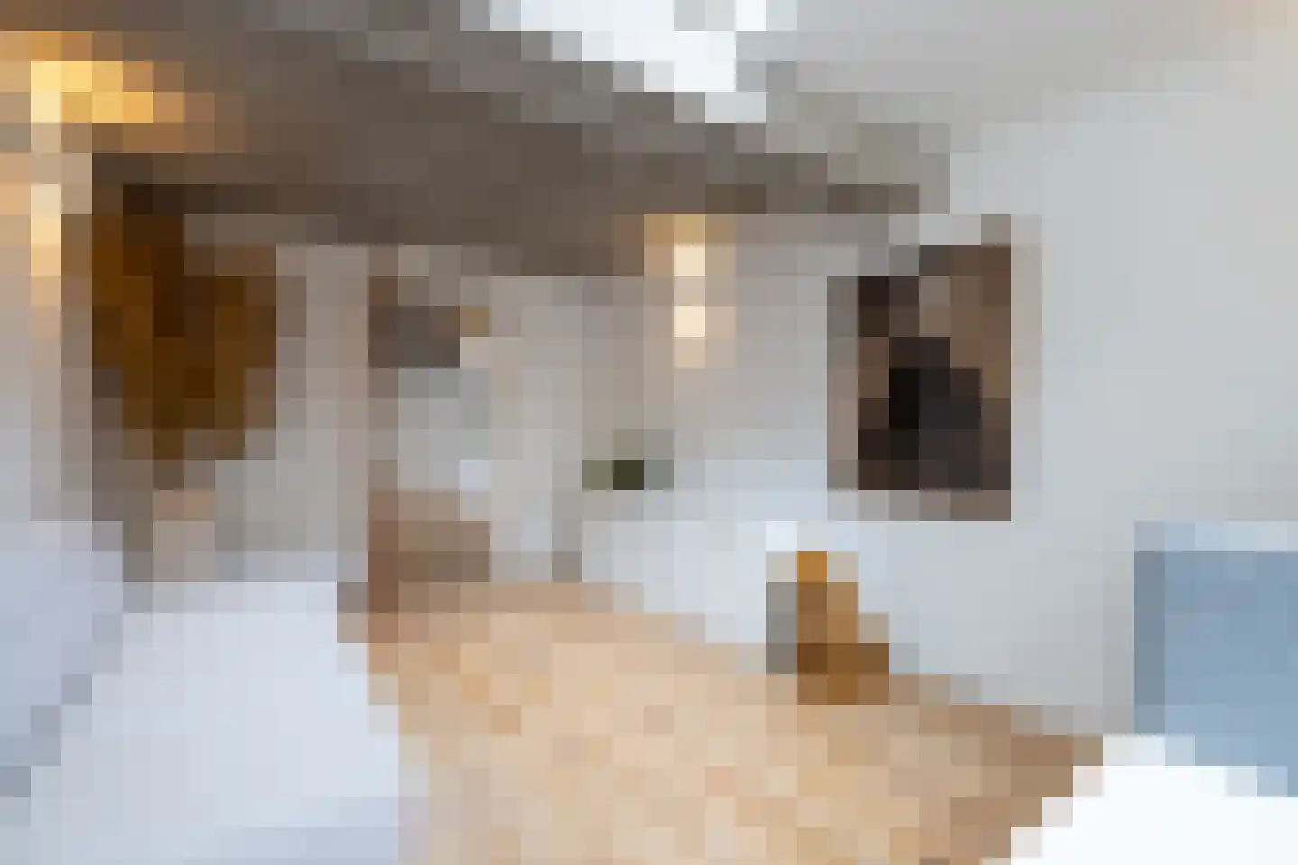 Linker Rottekadehof 32 A Rotterdam thumbnail 27