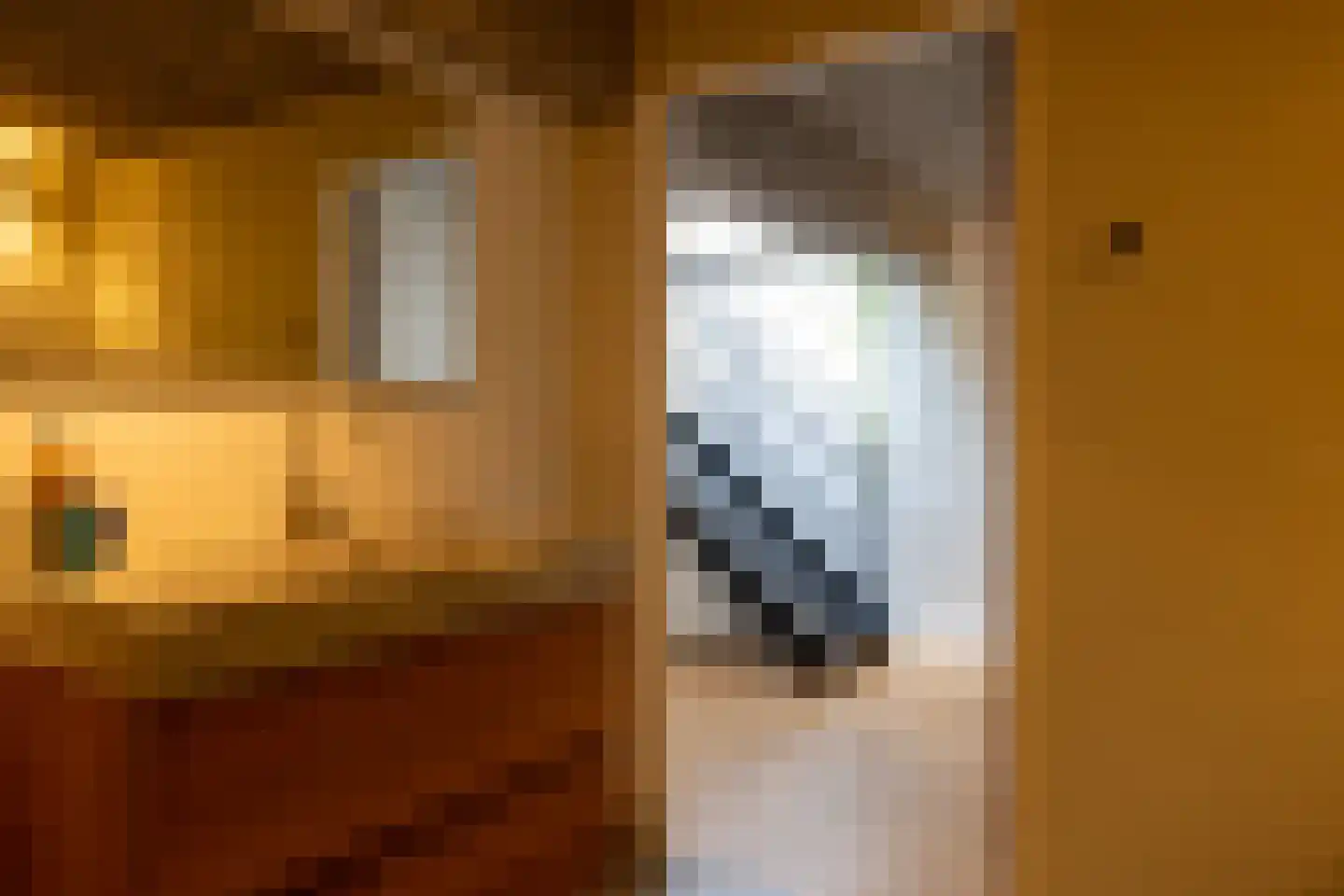 Linker Rottekadehof 32 A Rotterdam thumbnail 32