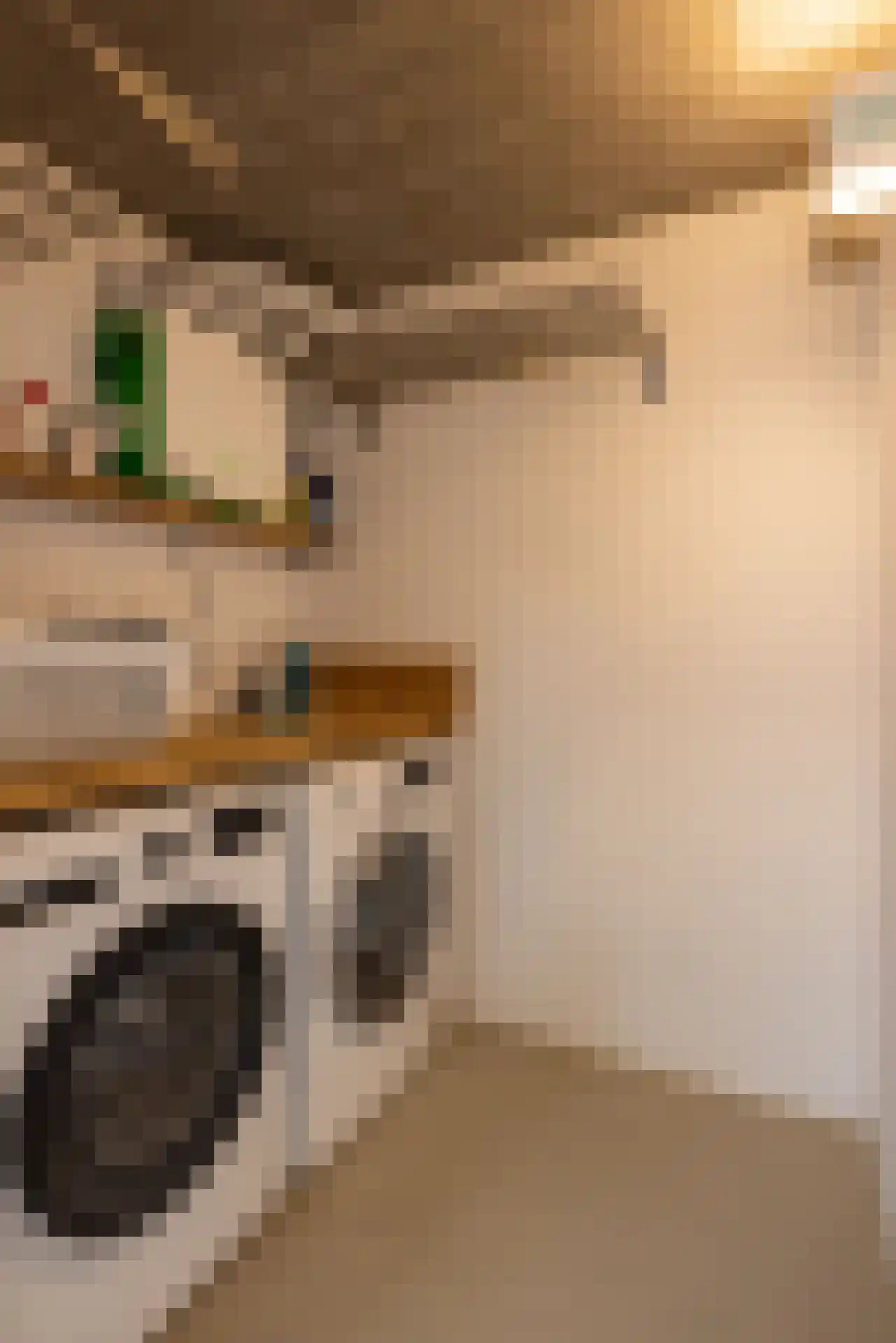 Linker Rottekadehof 32 A Rotterdam thumbnail 34