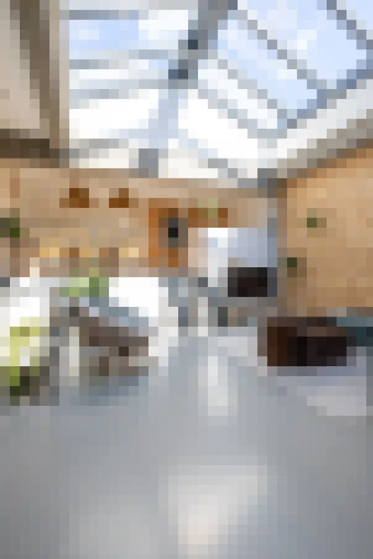 Linker Rottekadehof 32 A Rotterdam thumbnail 36