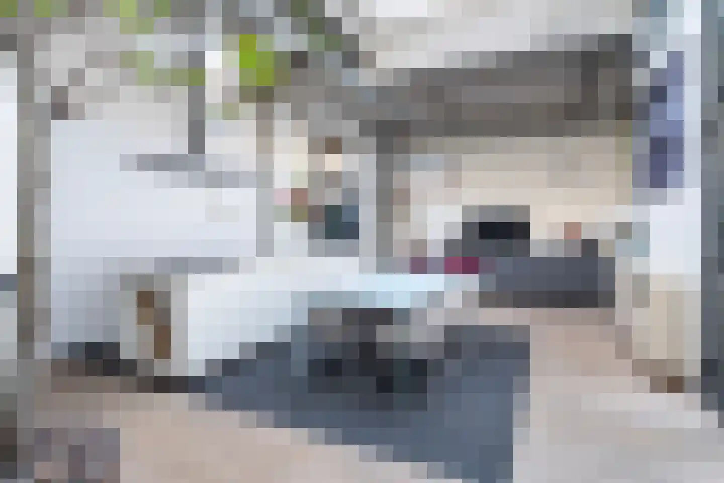 Linker Rottekadehof 36 A Rotterdam thumbnail 20