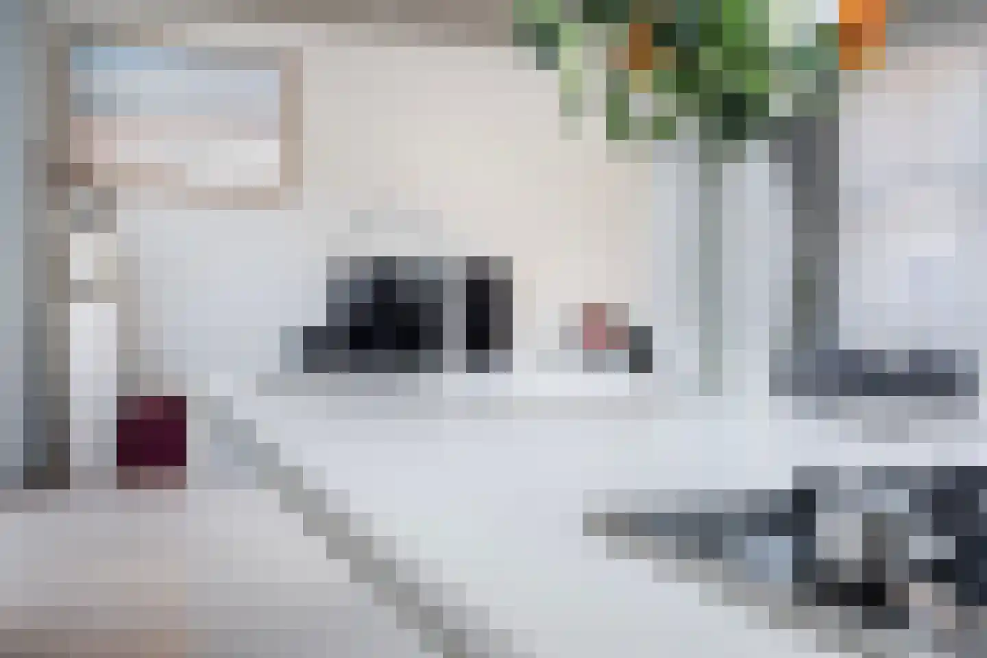Linker Rottekadehof 36 A Rotterdam thumbnail 30