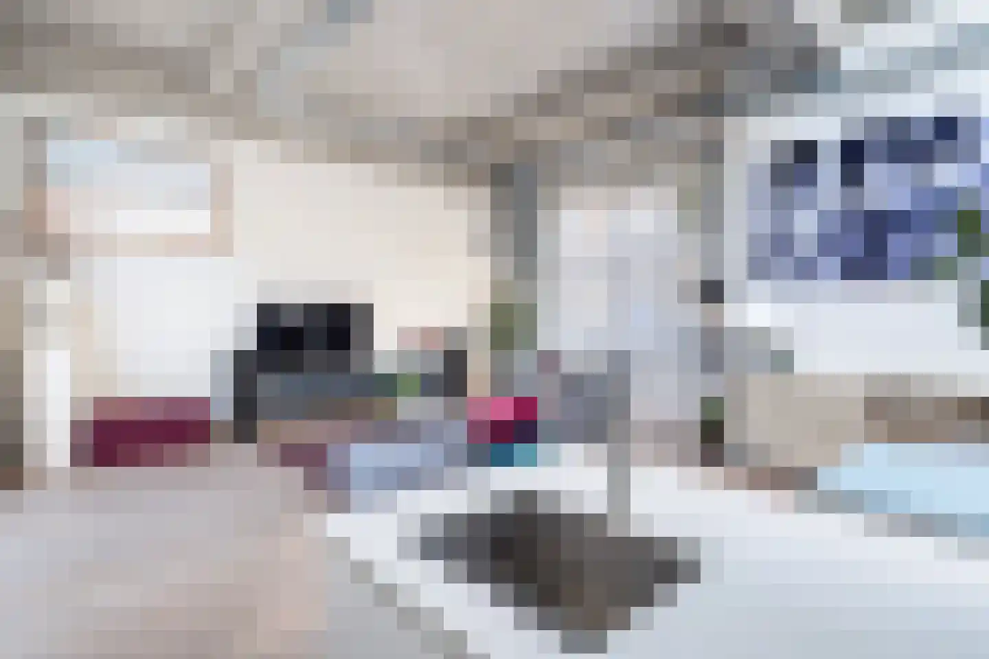 Linker Rottekadehof 36 A Rotterdam thumbnail 31