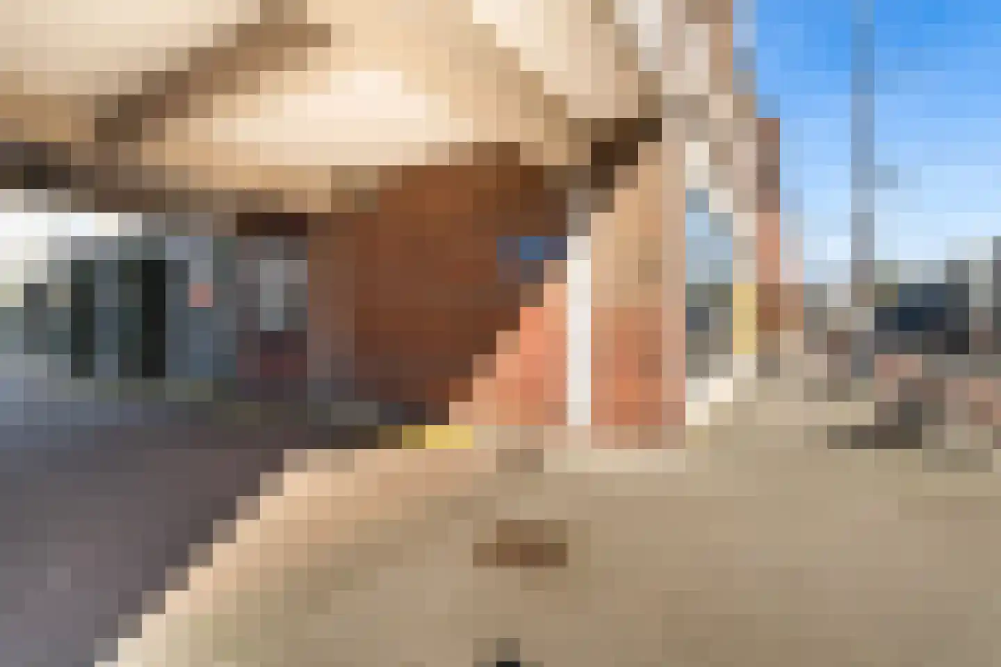 Linker Rottekadehof 36 A Rotterdam thumbnail 53