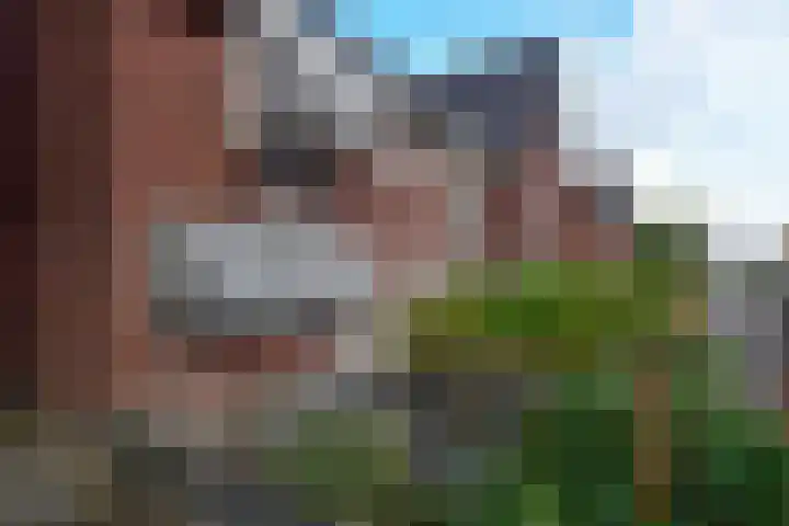 Linksachterstraat 1 Kudelstaart thumbnail 18