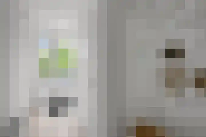 Linksachterstraat 3 Kudelstaart thumbnail 14