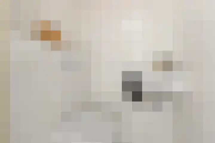 Linksachterstraat 3 Kudelstaart thumbnail 15