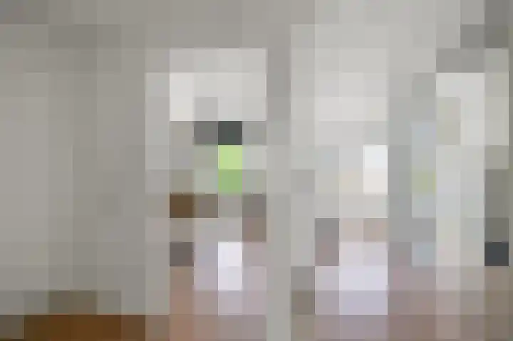 Linksachterstraat 3 Kudelstaart thumbnail 18