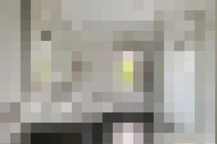 Linksachterstraat 3 Kudelstaart thumbnail 23