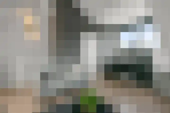 Linksachterstraat 3 Kudelstaart thumbnail 27