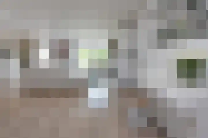 Linksbuitenstraat 19 Kudelstaart thumbnail 11