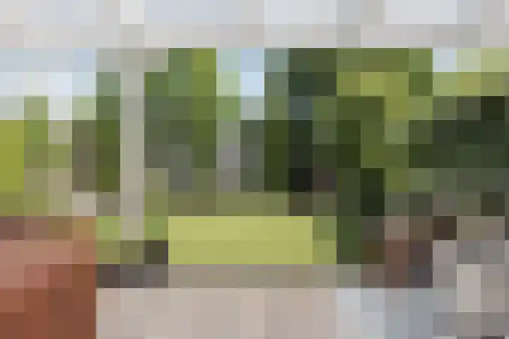 Linksbuitenstraat 19 Kudelstaart thumbnail 4