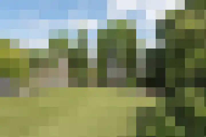 Linksbuitenstraat 19 Kudelstaart thumbnail 5