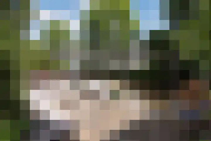 Linksbuitenstraat 19 Kudelstaart thumbnail 6
