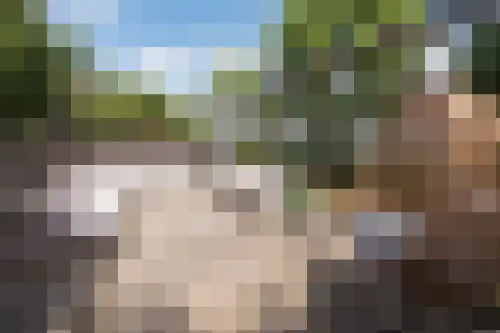 Linksbuitenstraat 19 Kudelstaart thumbnail 8