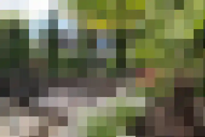 Linksbuitenstraat 19 Kudelstaart thumbnail 9