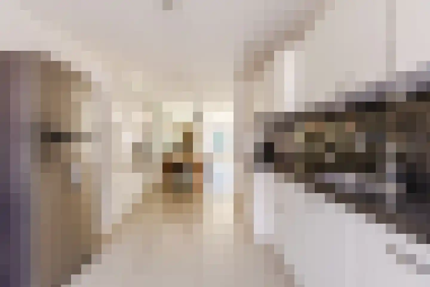 Linksbuitenstraat 24 Kudelstaart thumbnail 11