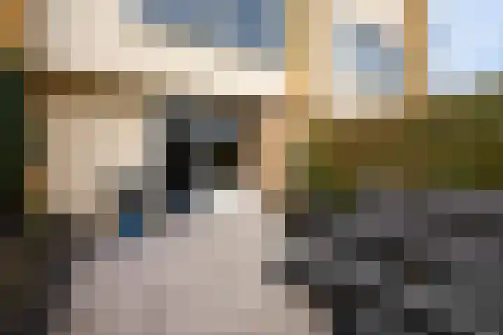 Linnaeus-serre 3 Amersfoort thumbnail 30