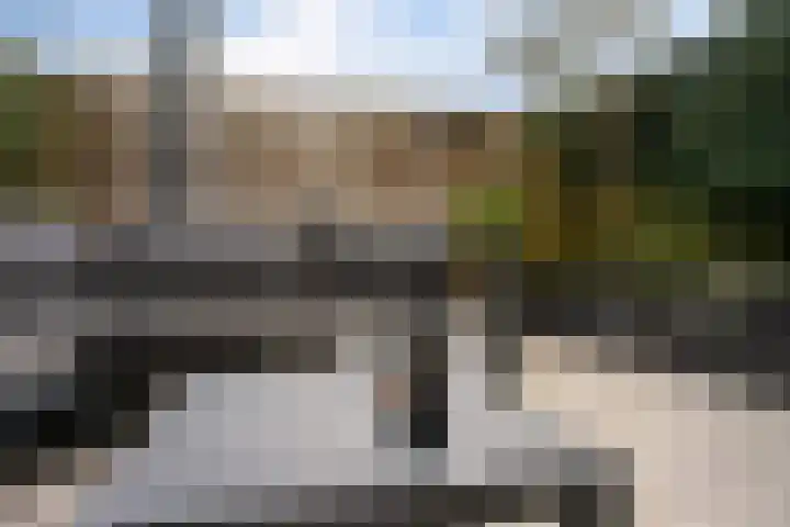 Linnaeus-serre 3 Amersfoort thumbnail 32
