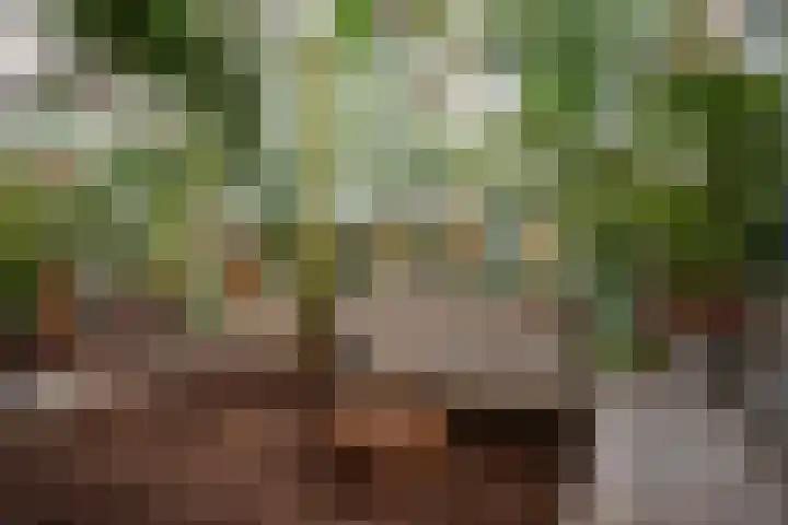 Linnaeus-serre 3 Amersfoort thumbnail 33