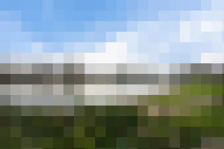 Linnaeus-serre 3 Amersfoort thumbnail 37