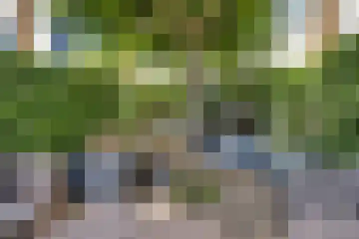Linnaeus-serre 5 Amersfoort thumbnail 33