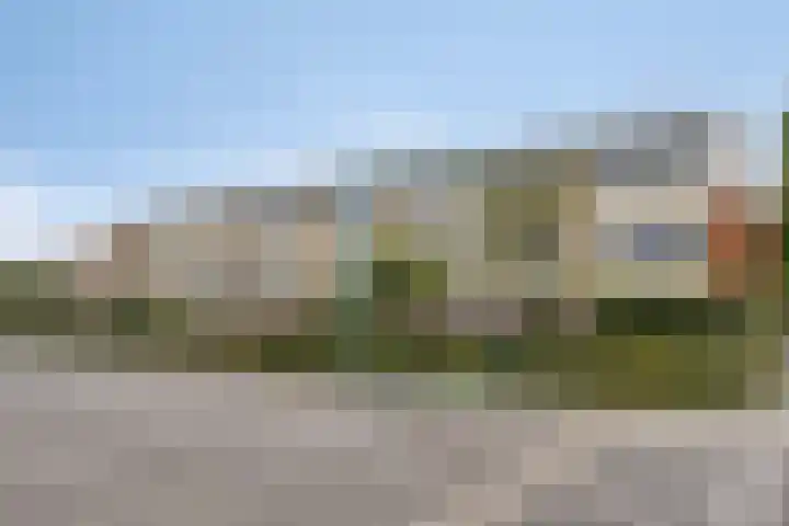 Linnaeus-serre 5 Amersfoort thumbnail 34