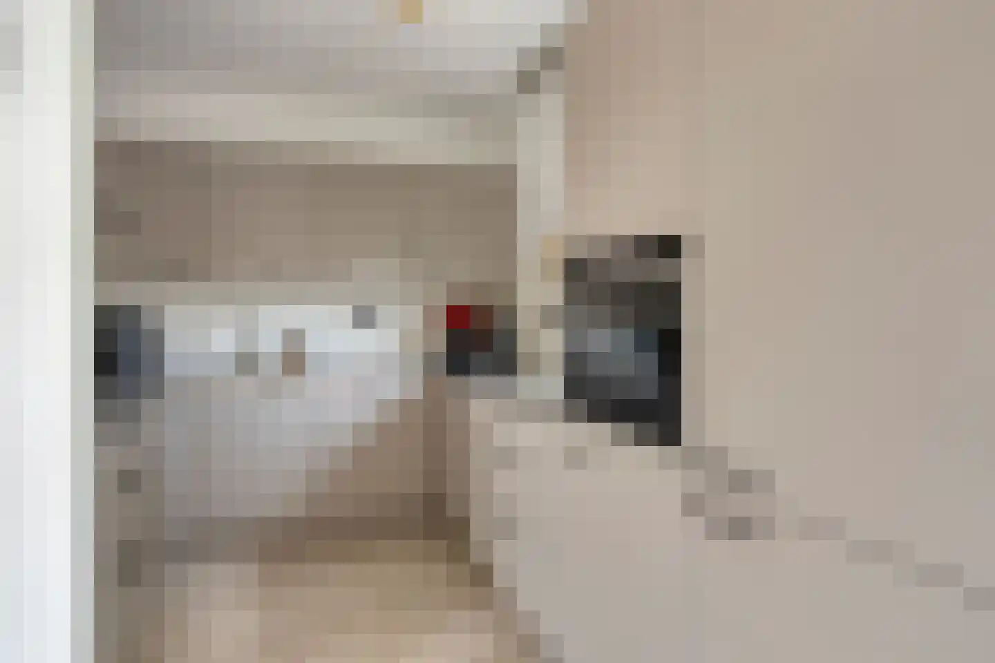 Linnaeusdomein 16 Maastricht thumbnail 13