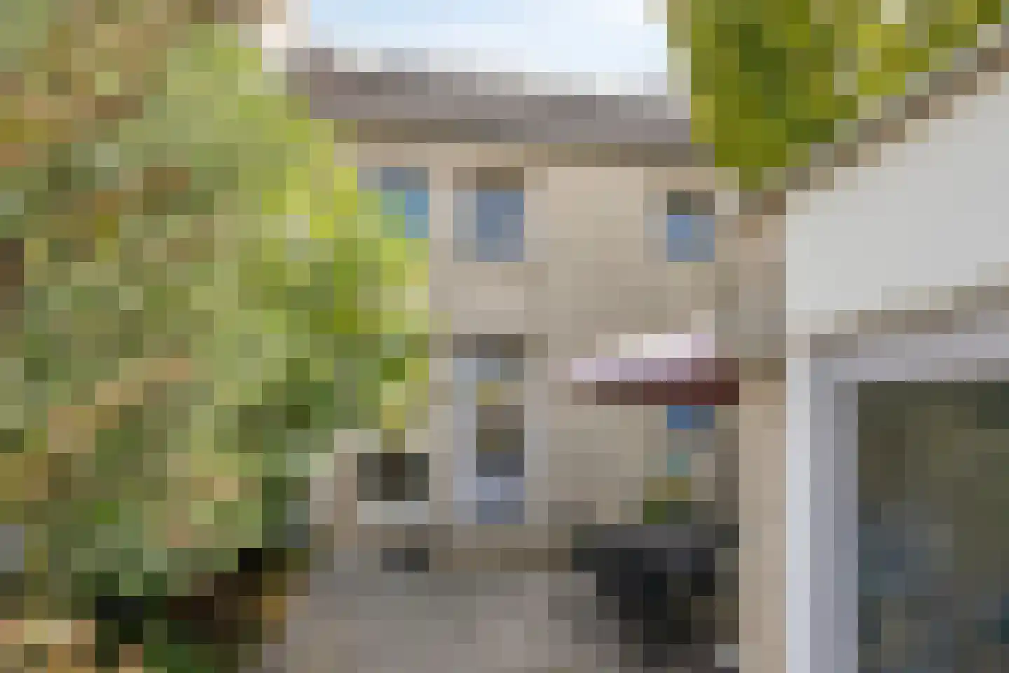 Linnaeusdomein 16 Maastricht thumbnail 32
