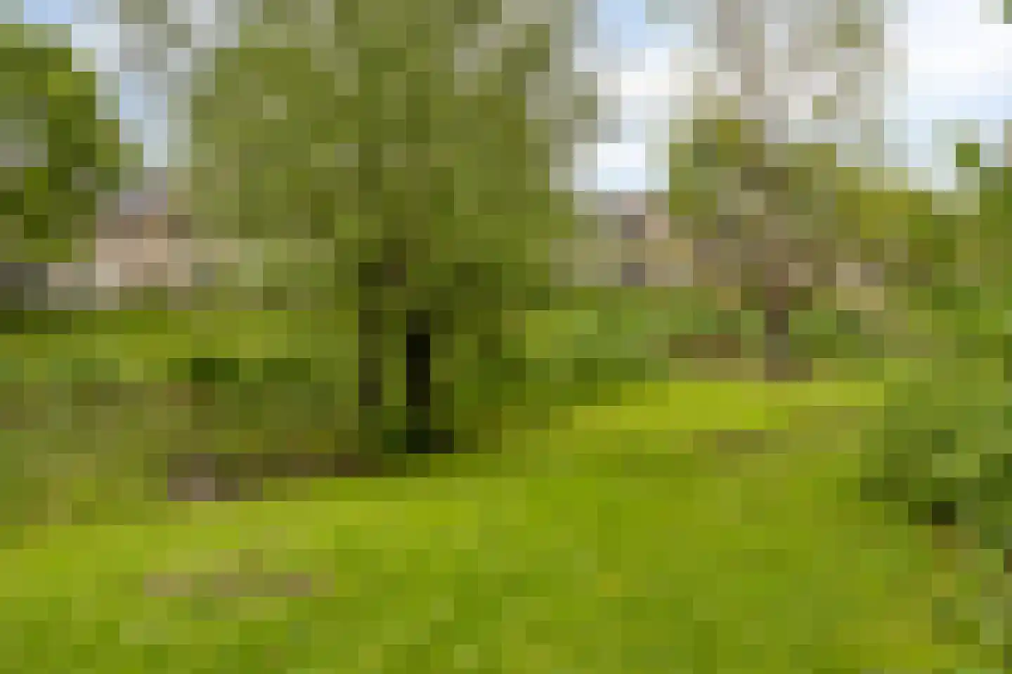 Linnaeusdomein 16 Maastricht thumbnail 37