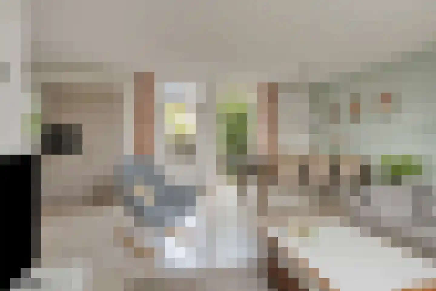 Linnaeusdomein 16 Maastricht thumbnail 7