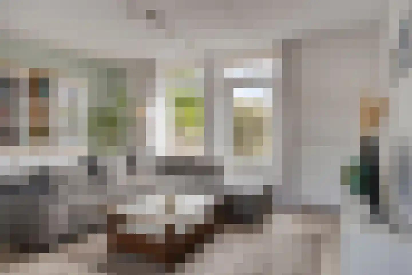 Linnaeusdomein 16 Maastricht thumbnail 9