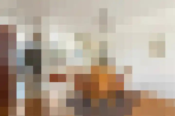 Linnaeusdreef 15 Breukelen thumbnail 11