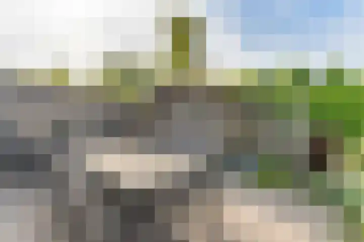Linnaeusdreef 15 Breukelen thumbnail 38
