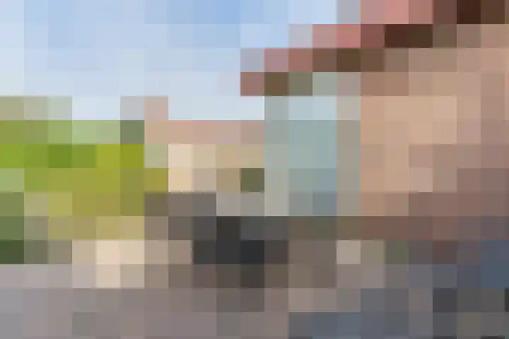 Linnaeusdreef 15 Breukelen thumbnail 39