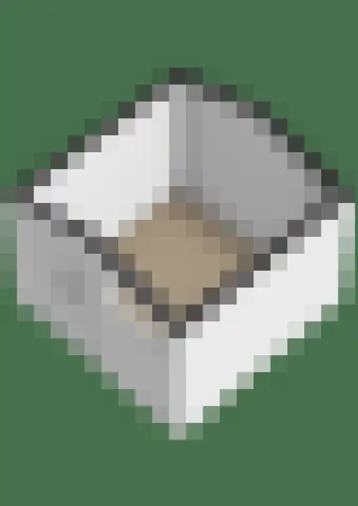 Linnaeusdreef 15 Breukelen thumbnail 46