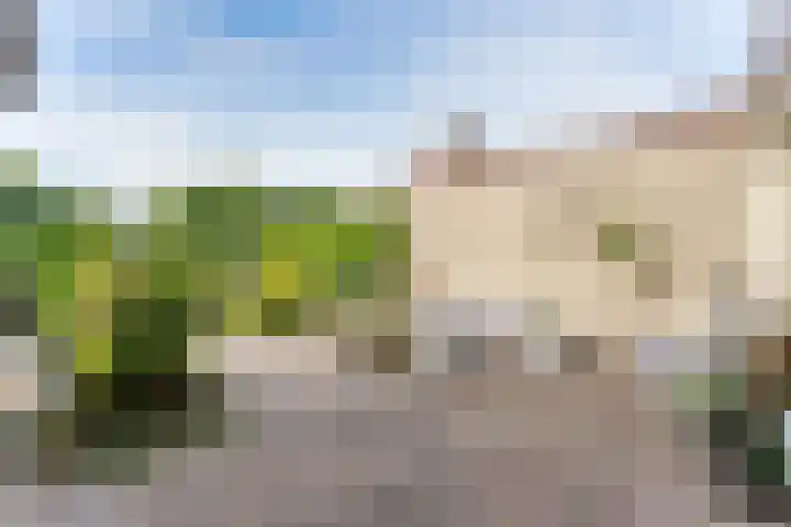 Linnaeusdreef 15 Breukelen thumbnail 5