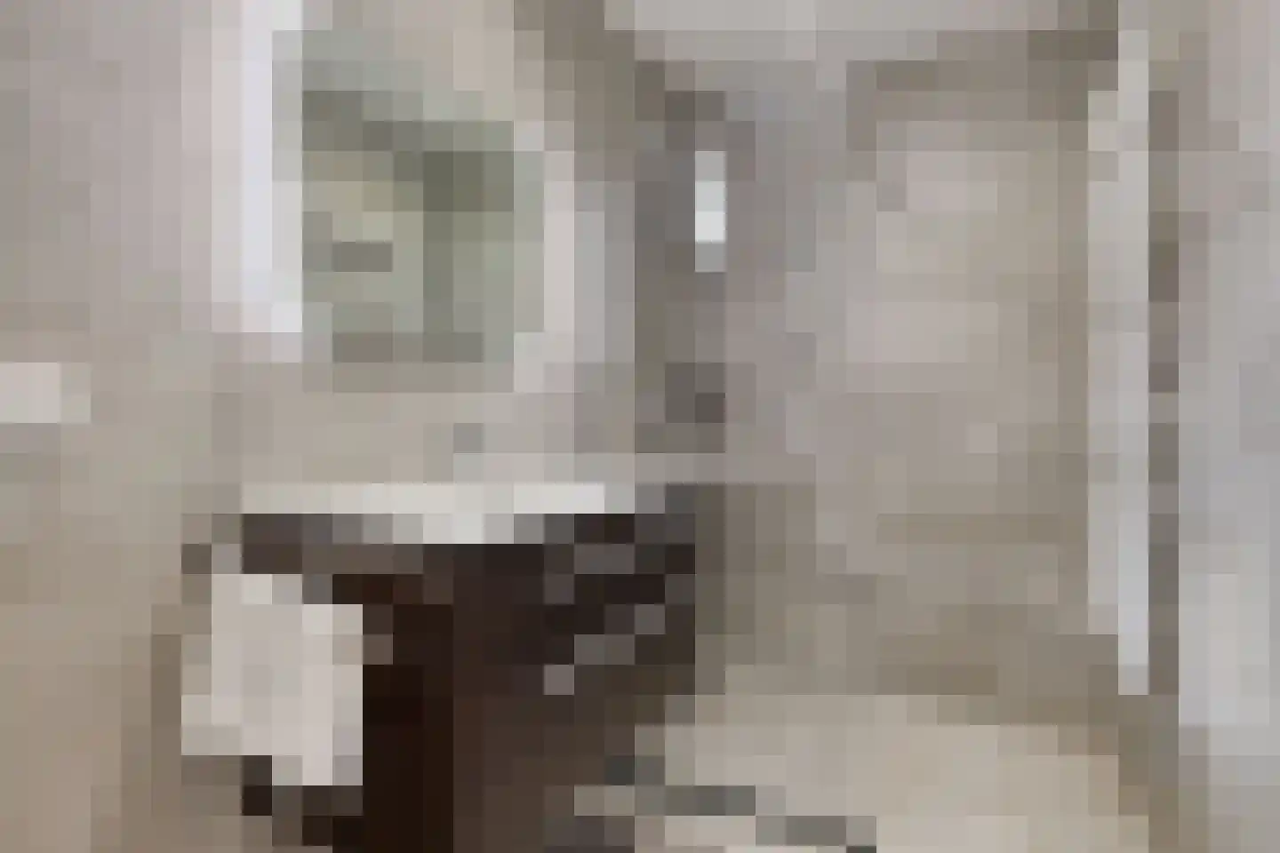 Linnaeusdreef 20 Breukelen thumbnail 22
