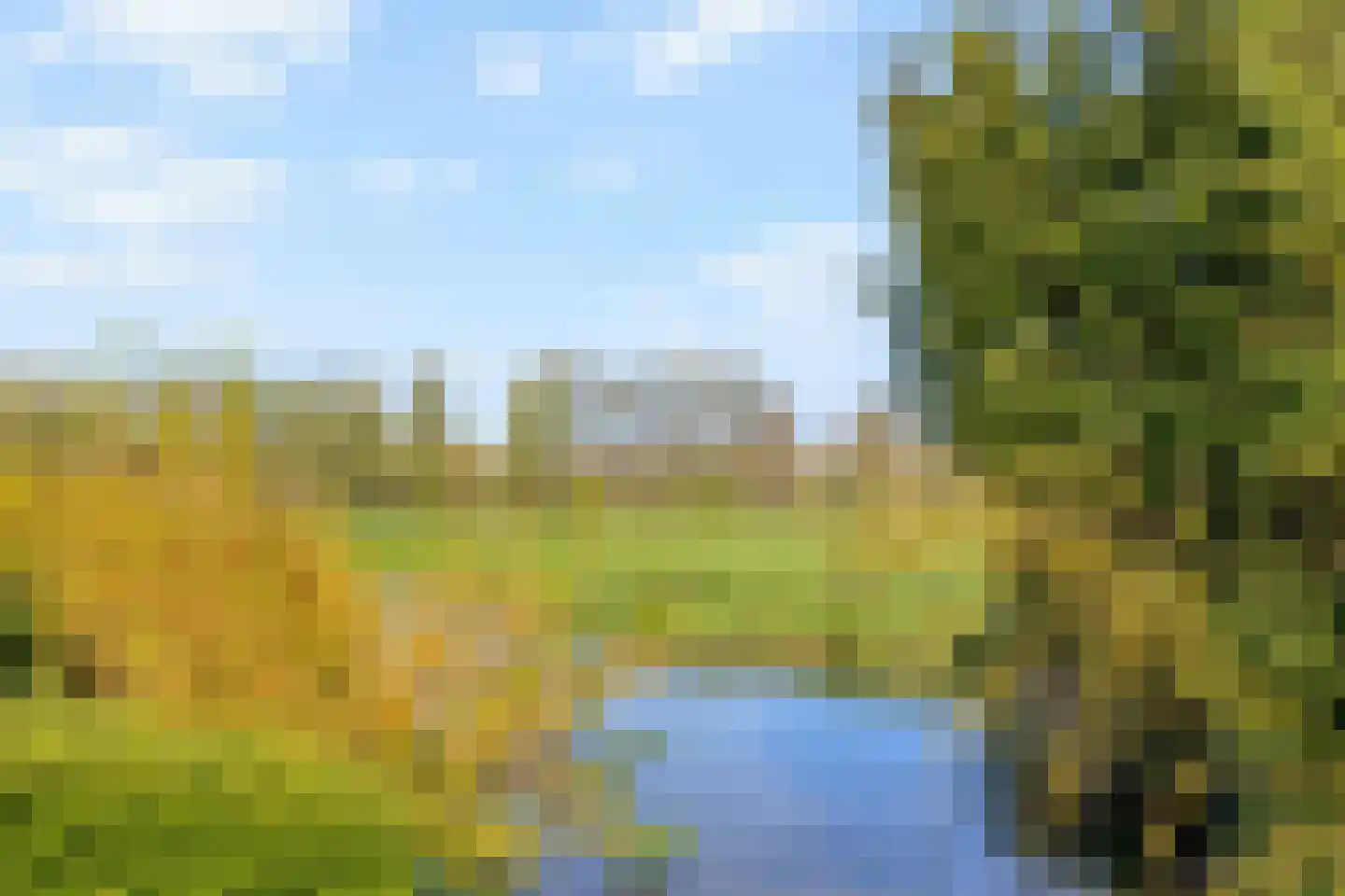 Linnaeusdreef 20 Breukelen thumbnail 29