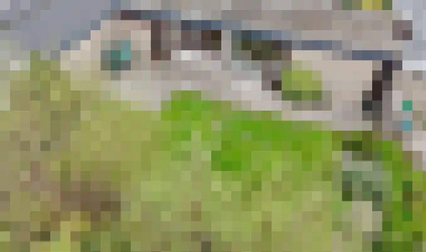 Linnaeusdreef 20 Breukelen thumbnail 30
