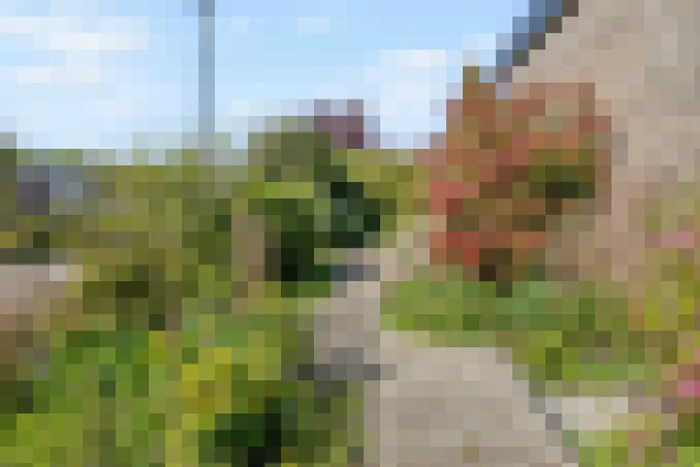 Linnaeusdreef 20 Breukelen thumbnail 31