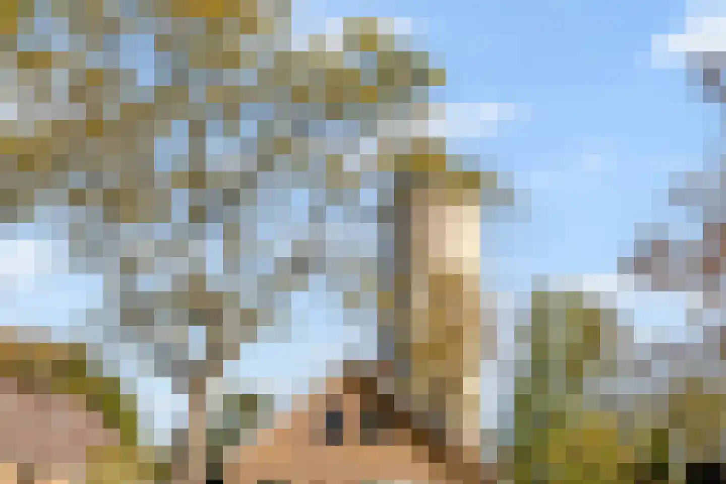Linnaeusdreef 20 Breukelen thumbnail 38