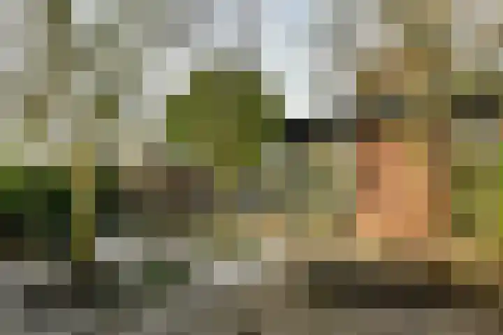Linnaeusdreef 23 Breukelen thumbnail 20