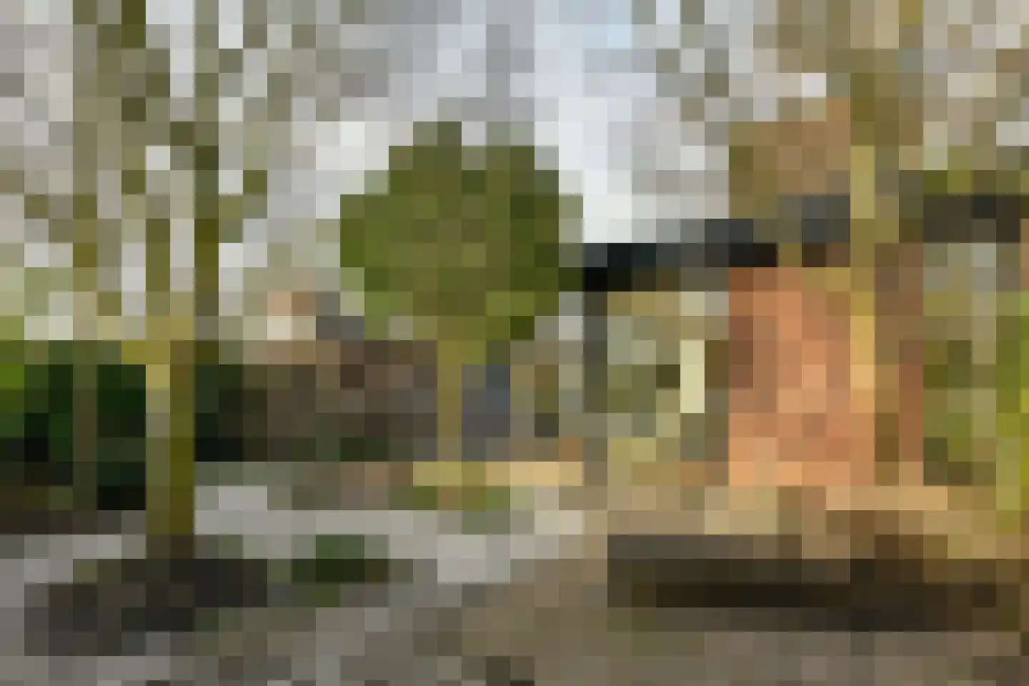 Linnaeusdreef 23 Breukelen thumbnail 20
