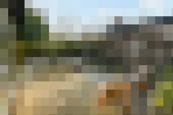 Linnaeusdreef 23 Breukelen thumbnail 21