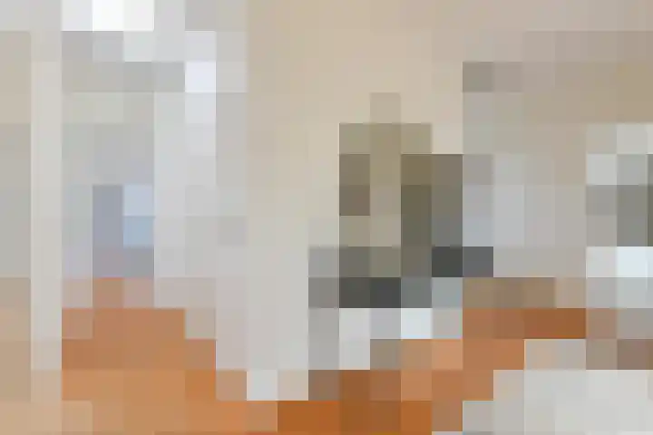 Linnaeusdreef 23 Breukelen thumbnail 22